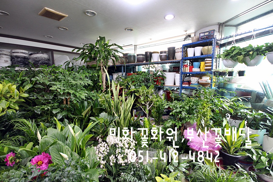 미화화원 이미지