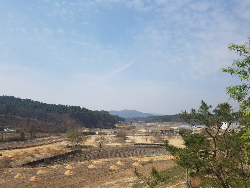 카페플루비아 이미지