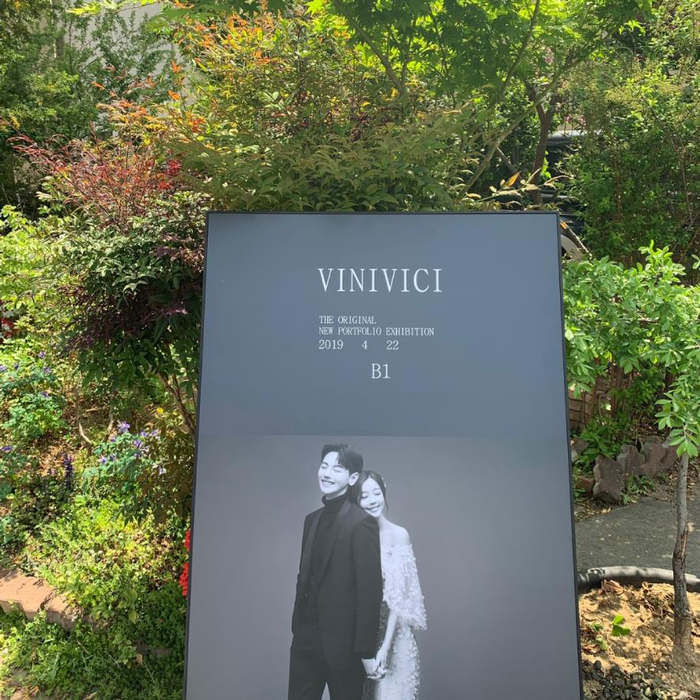 비니비치 이미지