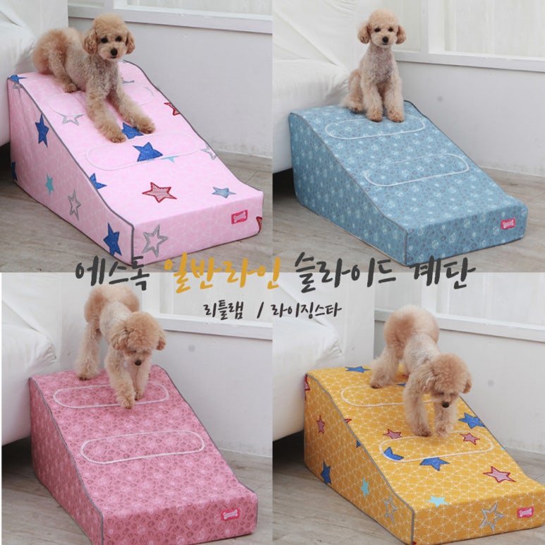 에스독하우스 이미지