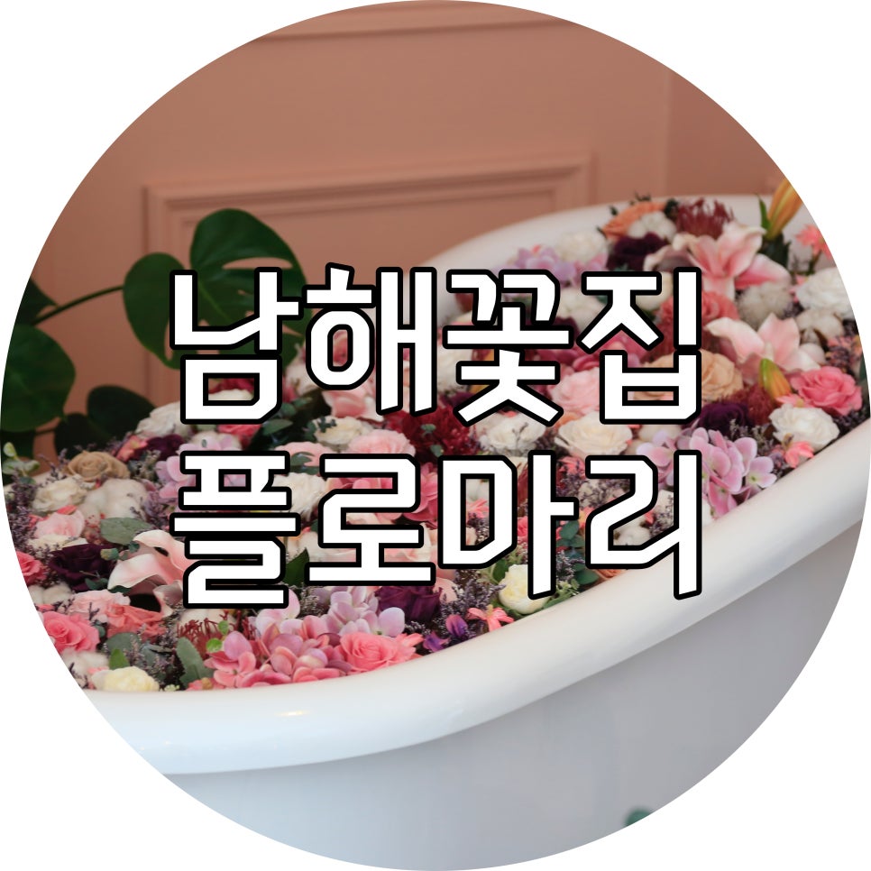 플로마리 이미지