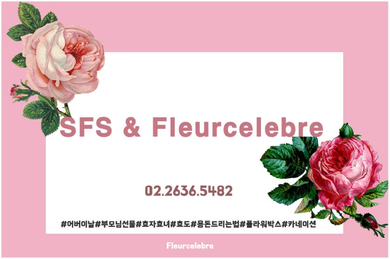 플레어셀레브 이미지