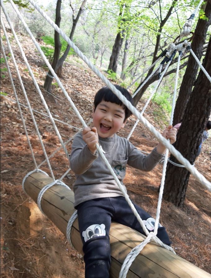 참창의숲 이미지