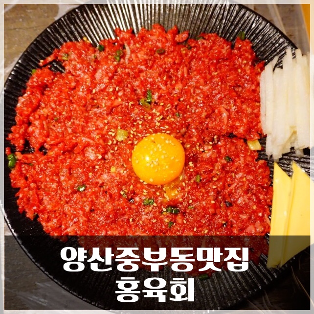 홍육회 이미지