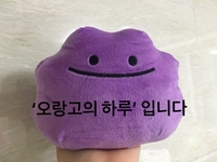 주연네연탄곱창구이 이미지