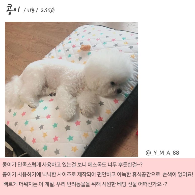 에스독하우스 이미지