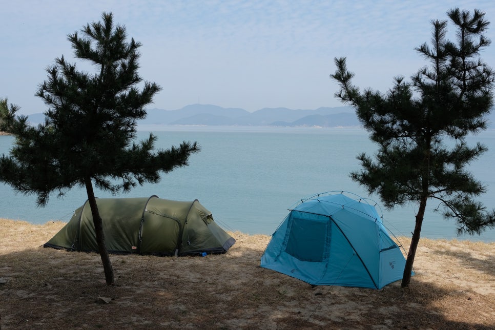 수호패밀리 이미지