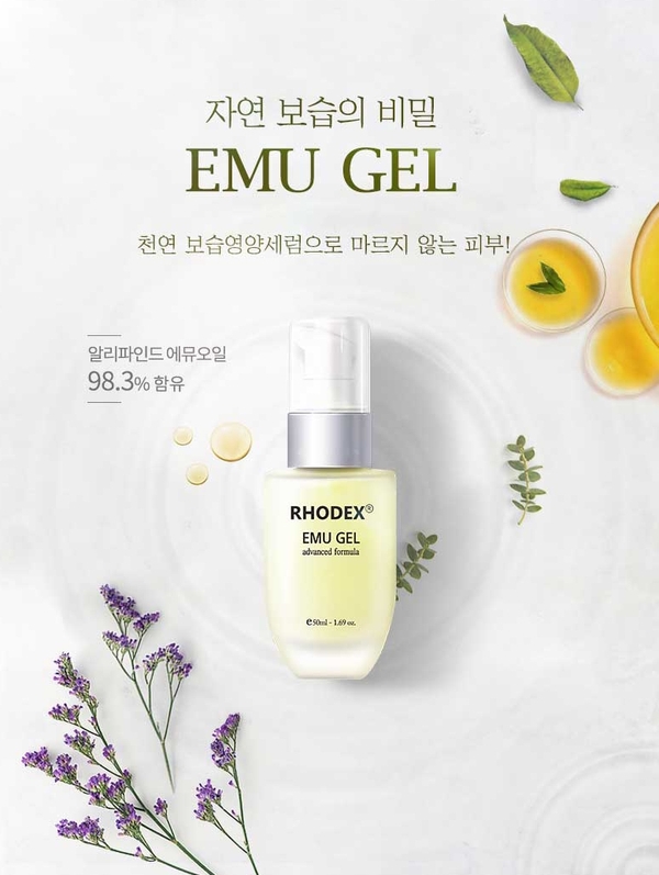 로덱스 이미지