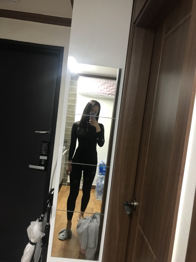 돼지네울타리 이미지