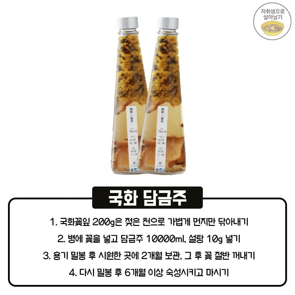 (주)레몬 이미지