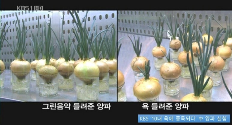 유진떡집 이미지