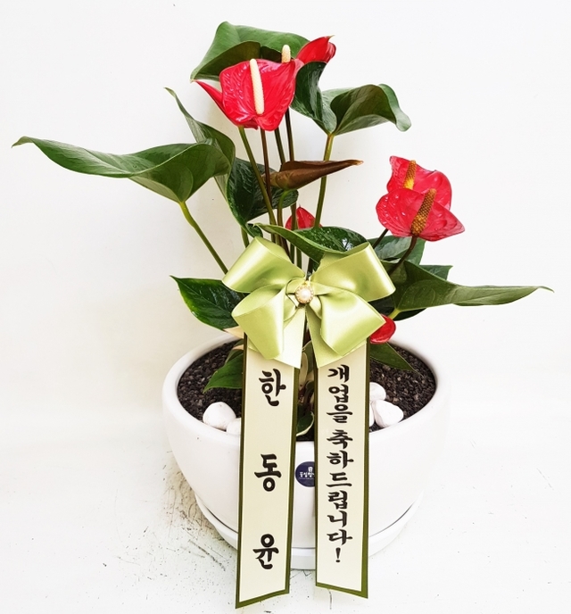 이인음반 이미지