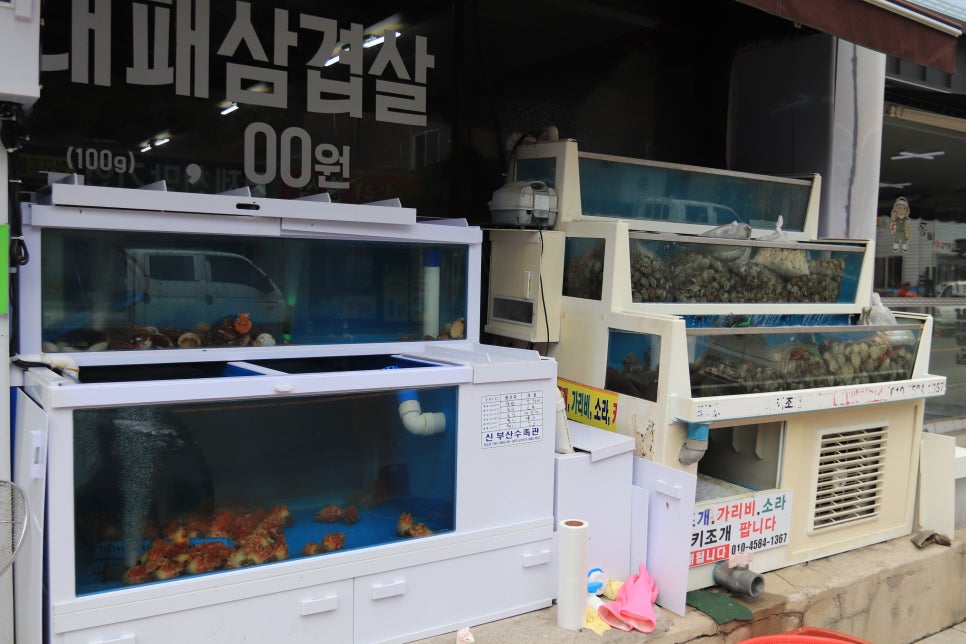 고향식당해물찜 이미지