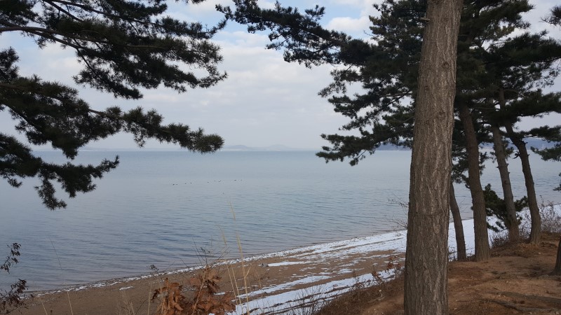 서산바다펜션 이미지
