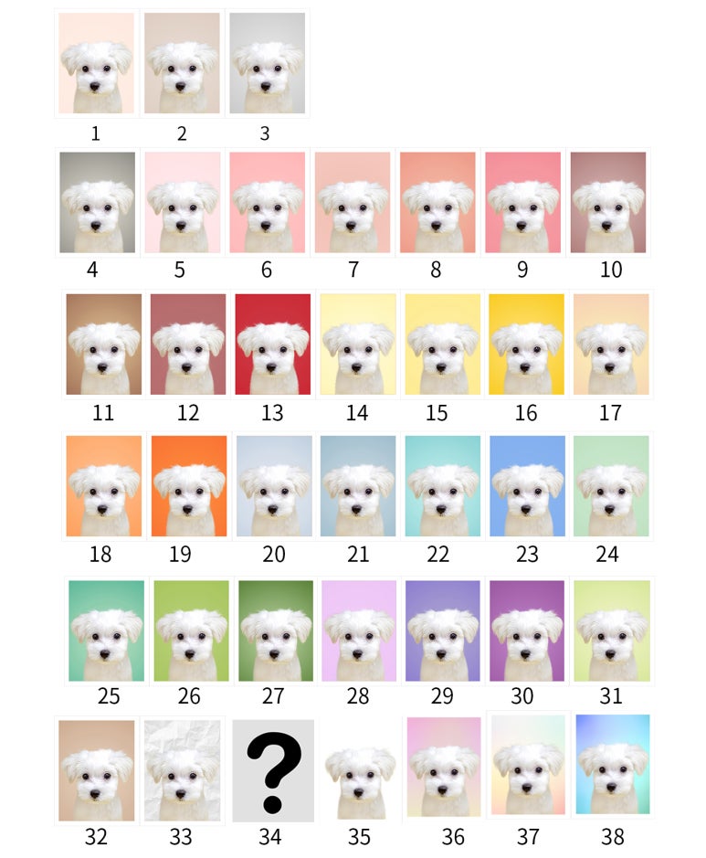 무지개사진관 이미지