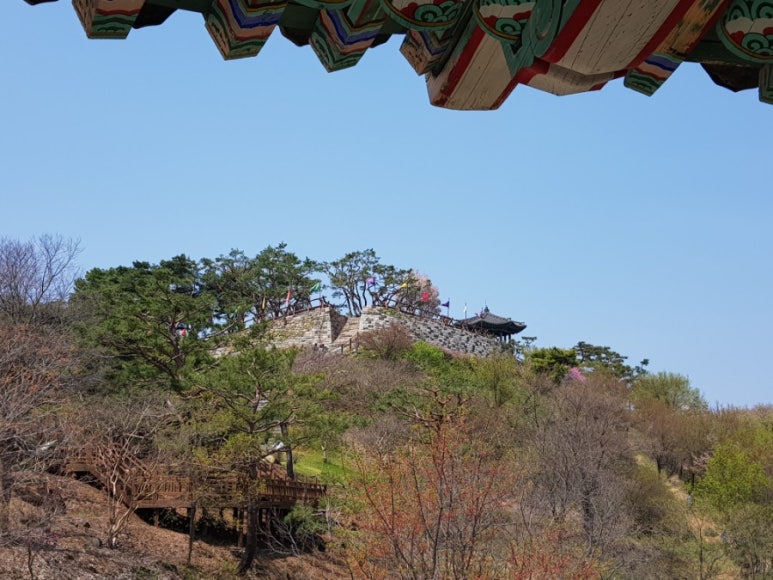 조은여행 이미지