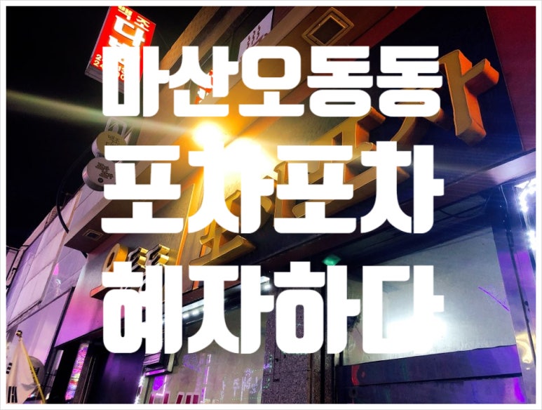 오동동포차포차 이미지