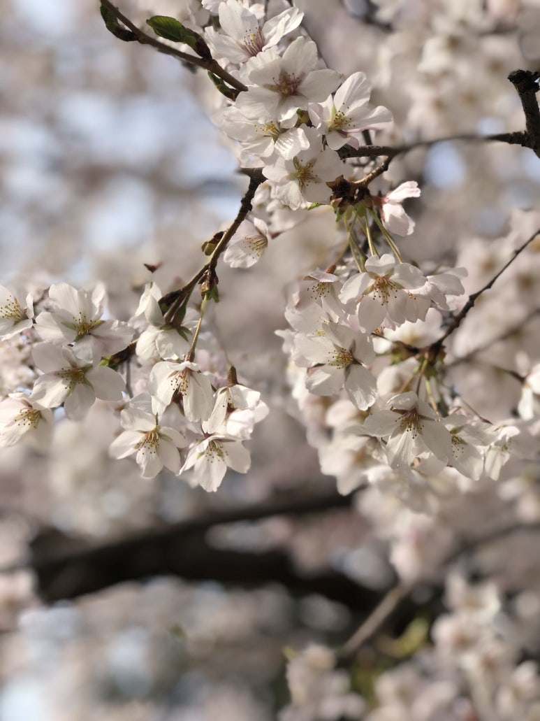 영산산업 이미지