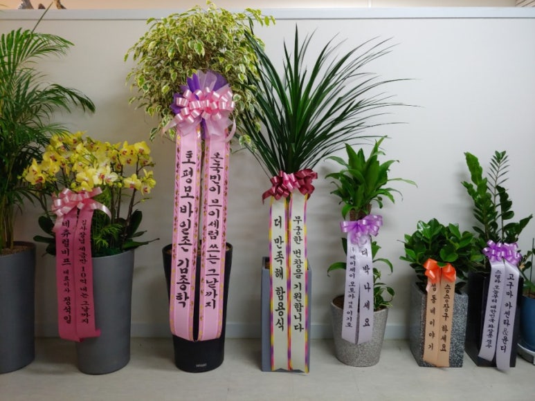 (주)베오베 이미지