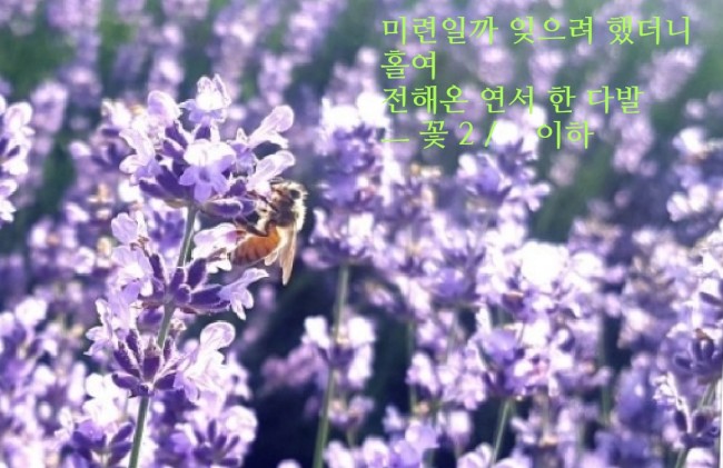 정원여인숙 이미지