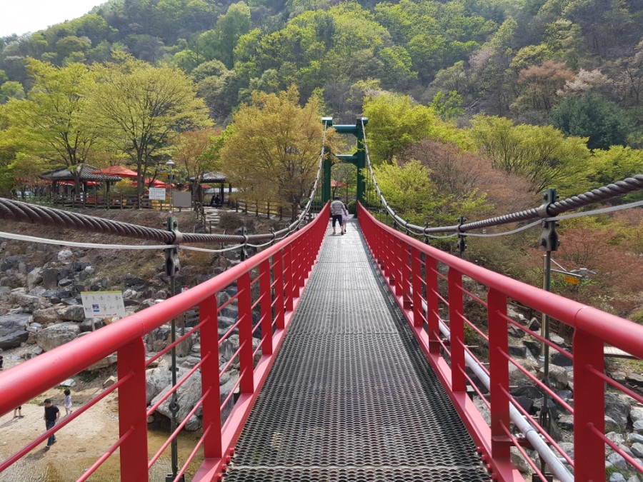 장령산자연휴양림 이미지