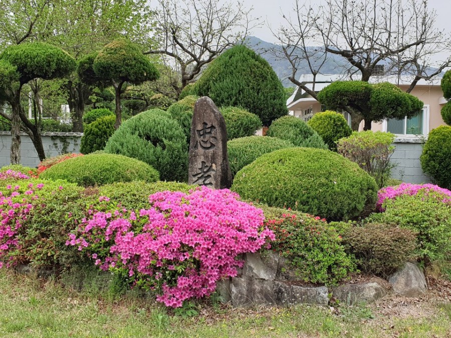 주감중학교 이미지
