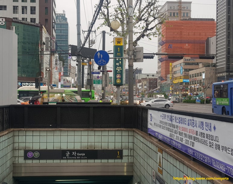 소프니스 이미지
