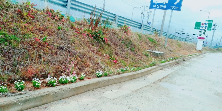 하늘담은바다펜션 이미지