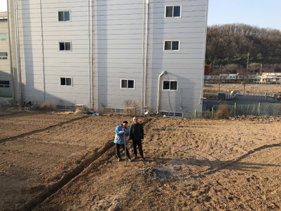 용인레이번스축구단 이미지