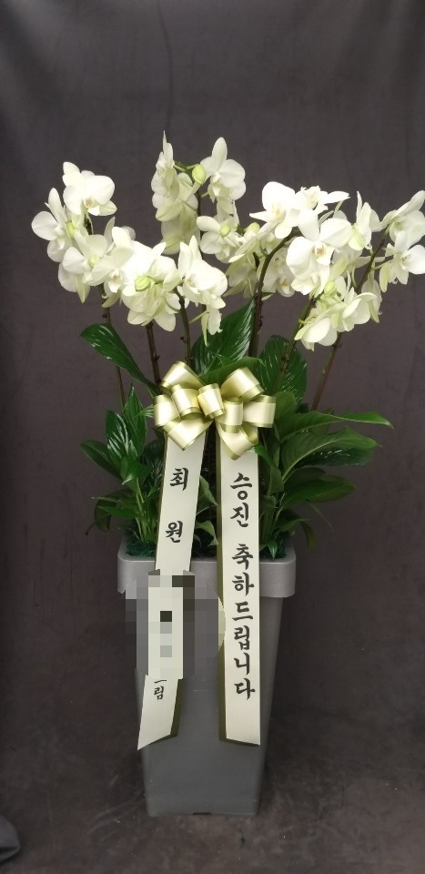 테오플라워카페 이미지