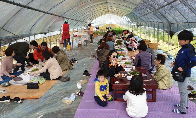 고고하우스푸드 이미지