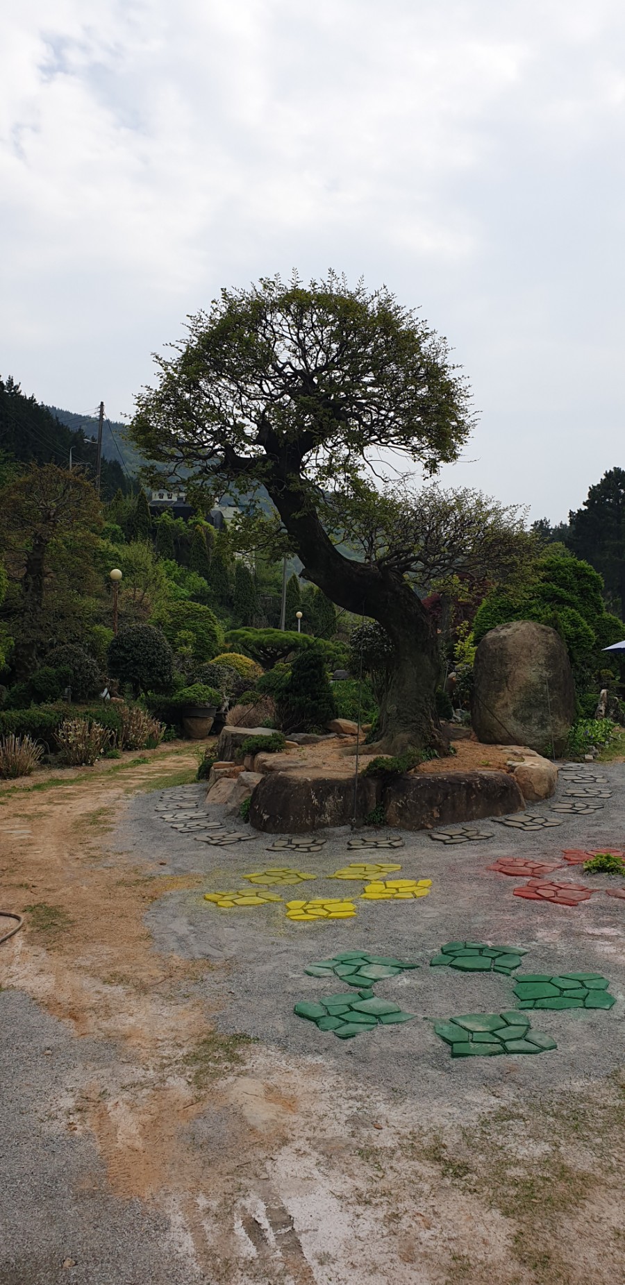 카페춘화의정원 이미지