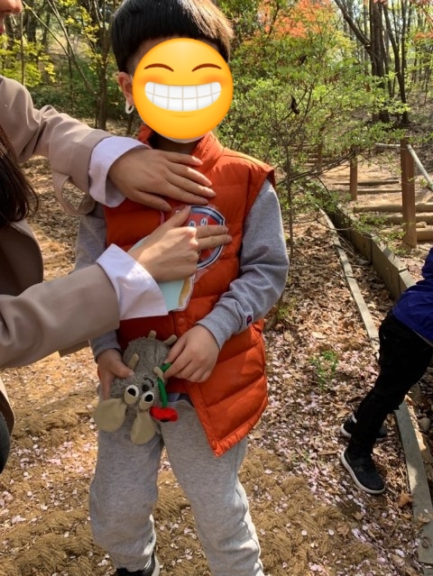 시넬 이미지