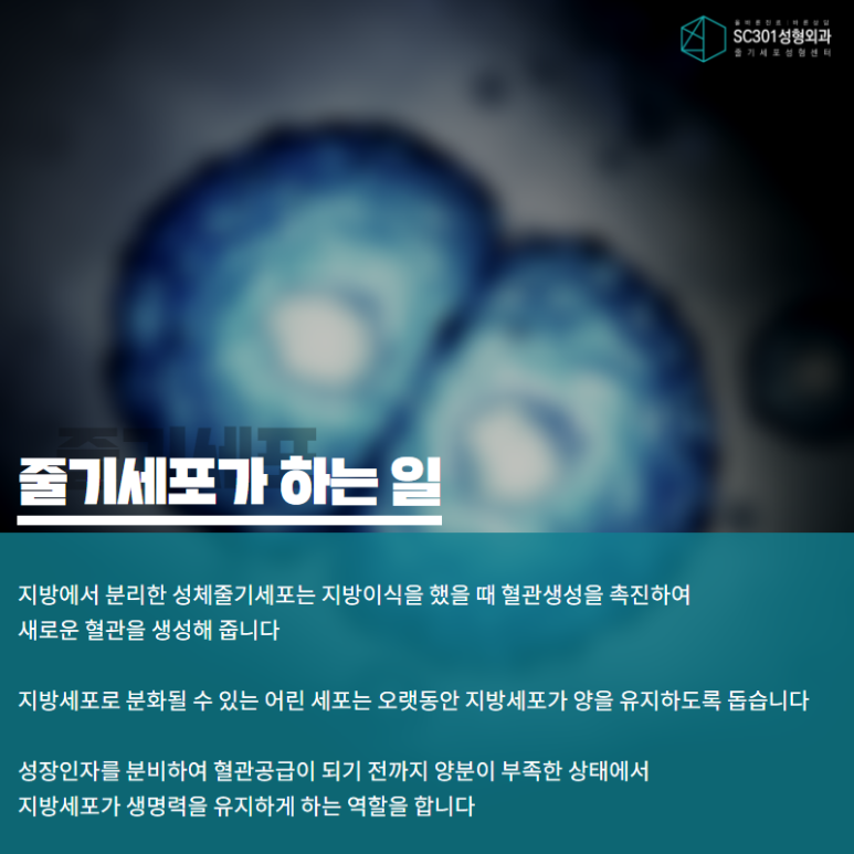 에스씨301의원 이미지