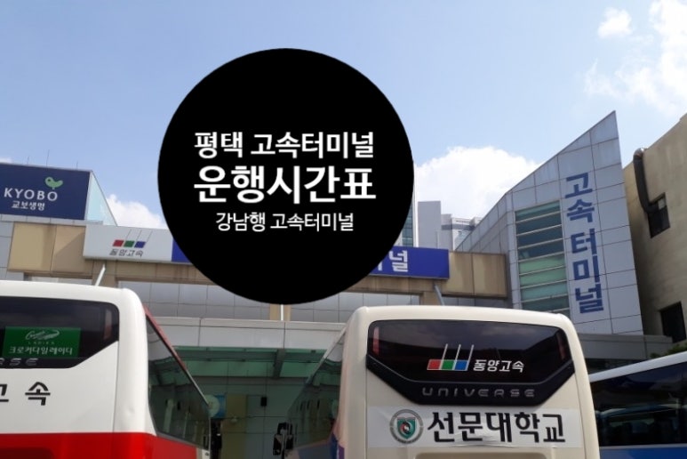 동양버스 이미지