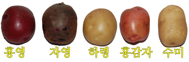 한결농산 이미지
