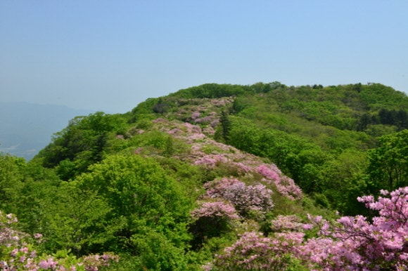 산촌판매장 이미지