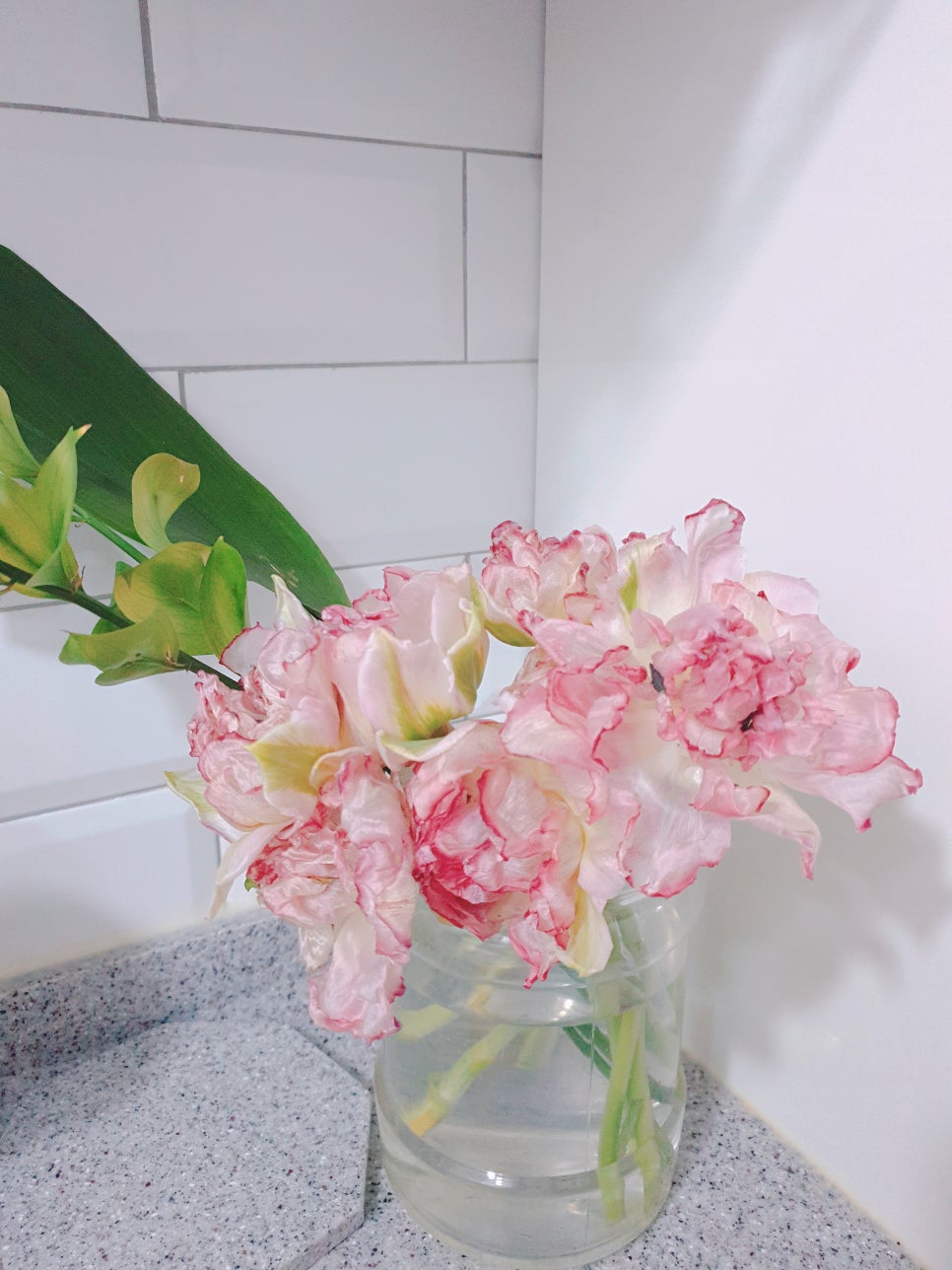 사랑꽃집 이미지