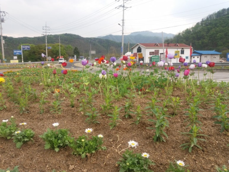 신야드로갤러리카페 이미지