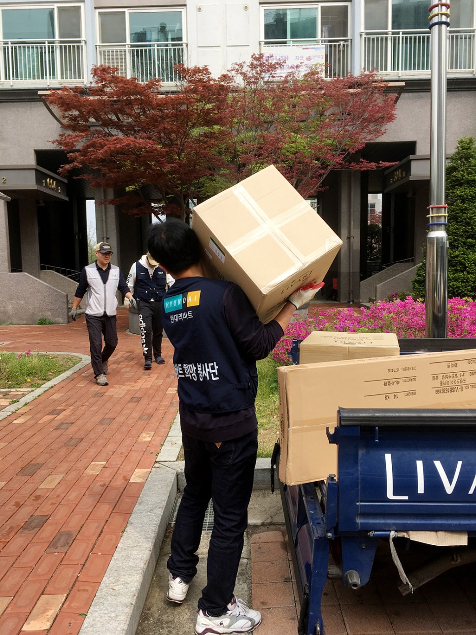 현대꽃동산 이미지