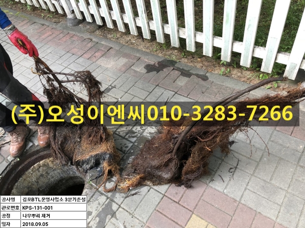 나무이엔씨 이미지