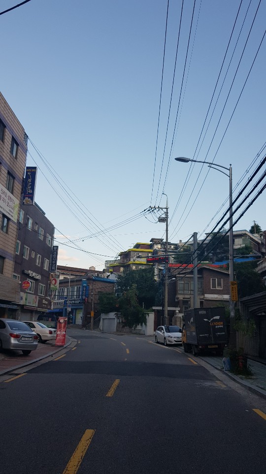 금화장 이미지