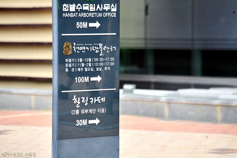 허브힐링카페 이미지