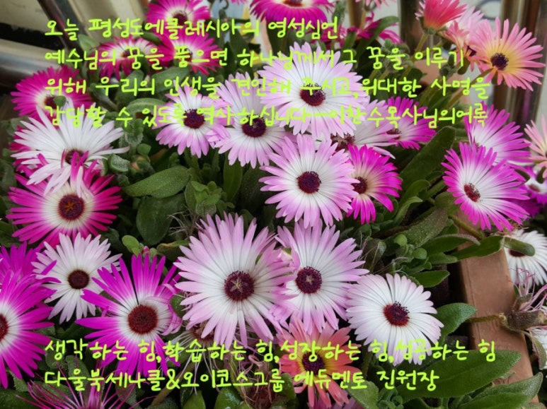 다울에듀 이미지
