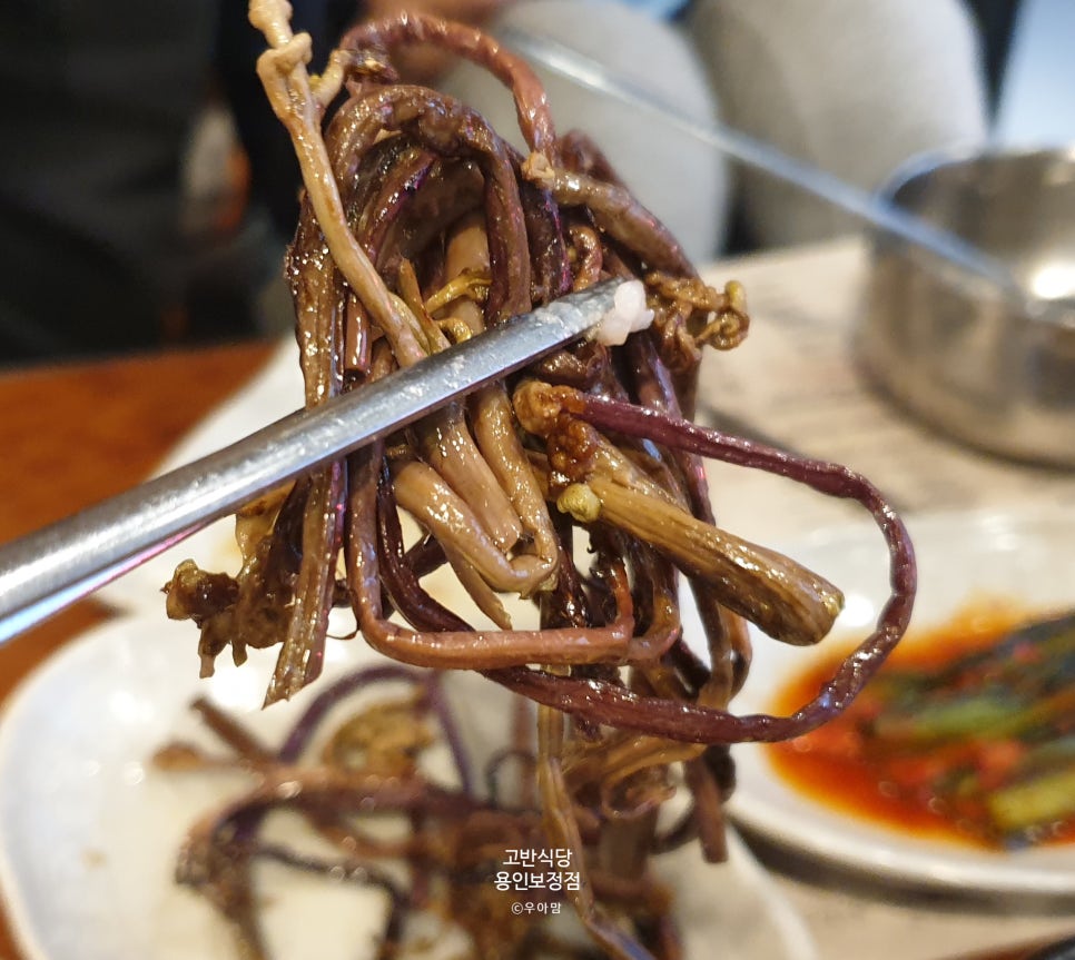 육덕후 이미지