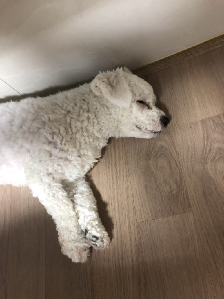 형제식육점 이미지