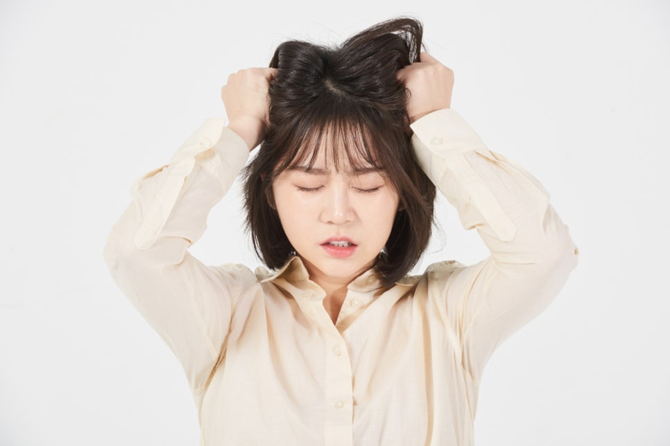 유명직업소개소 이미지