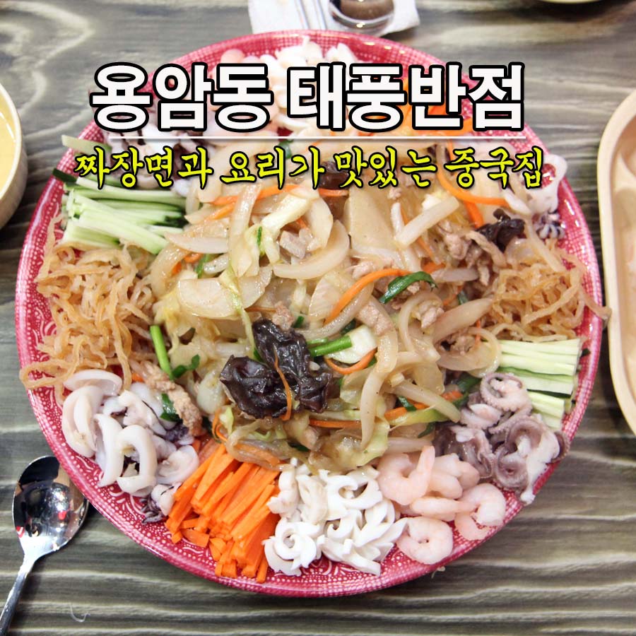 태풍반점 이미지