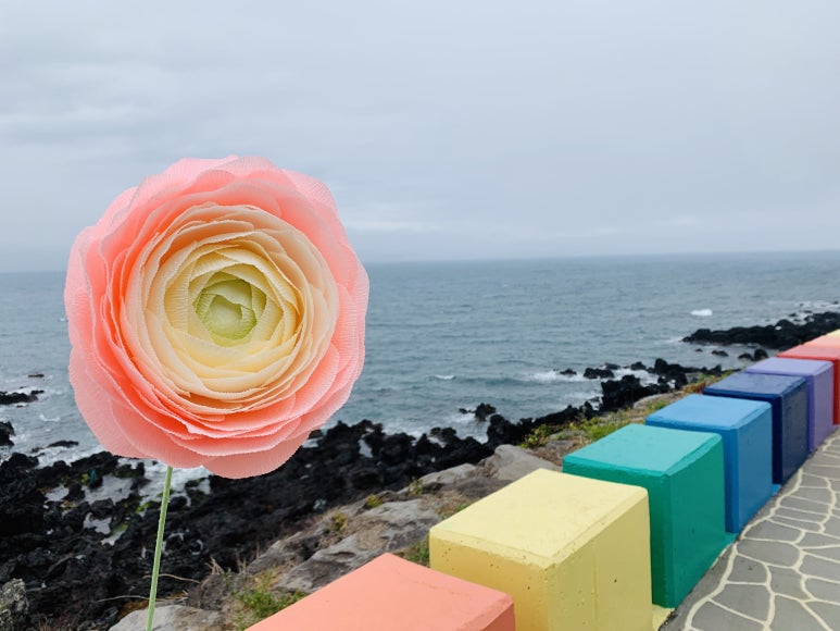 소랑꽃 이미지