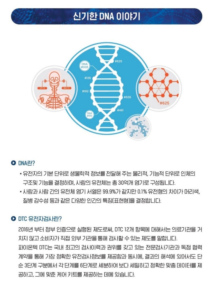 글로벌 지니 이미지